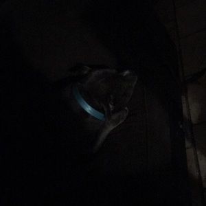 Meet your Posher, Bille